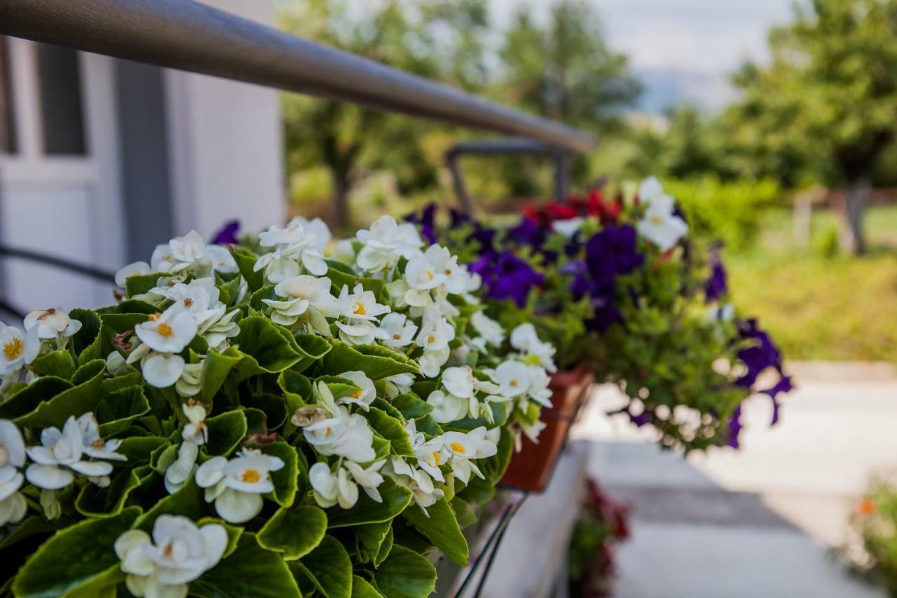 Heaven Apartment Cetinje